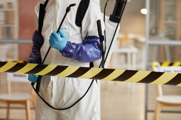 Professional Sewage Cleanup technician working in Saddle Brook, NJ